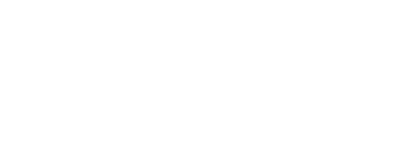 Blue Star Families logo