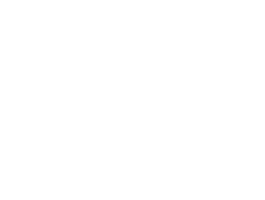 Nevada Dept of Veterans Services logo